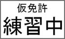 Provisional License Practice Sign